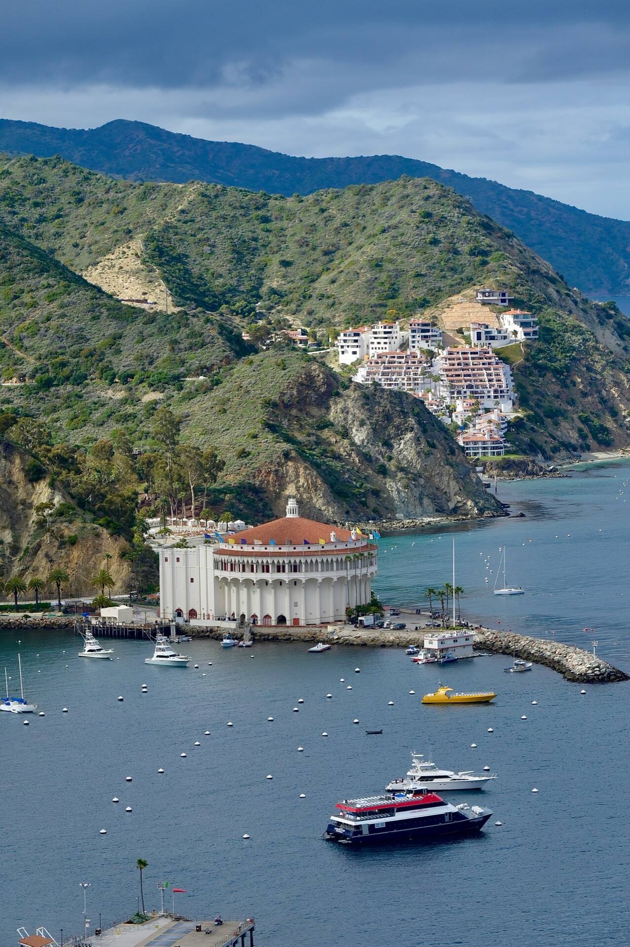 Avalon harbour, Catalina Island, California