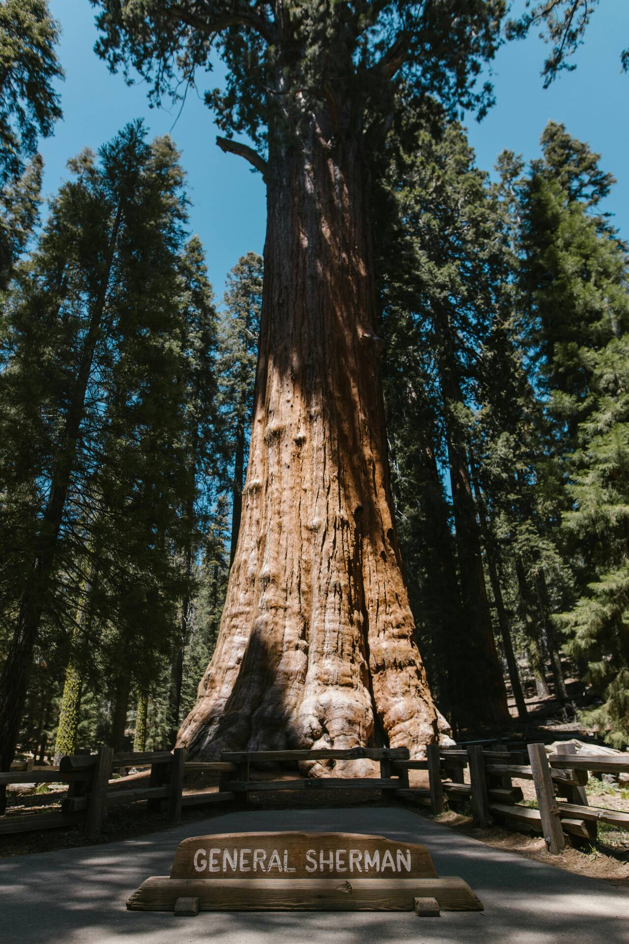 Kings Canyon National Park, California