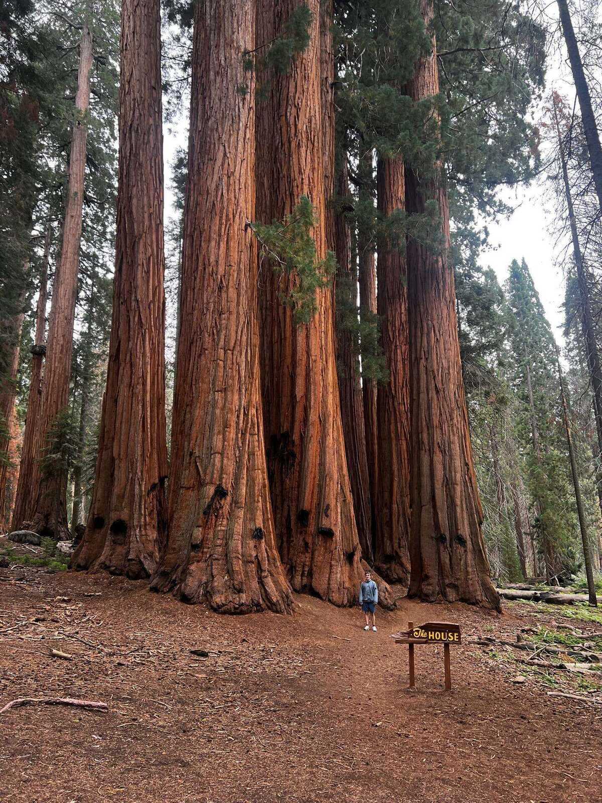 Sequoia National Park
