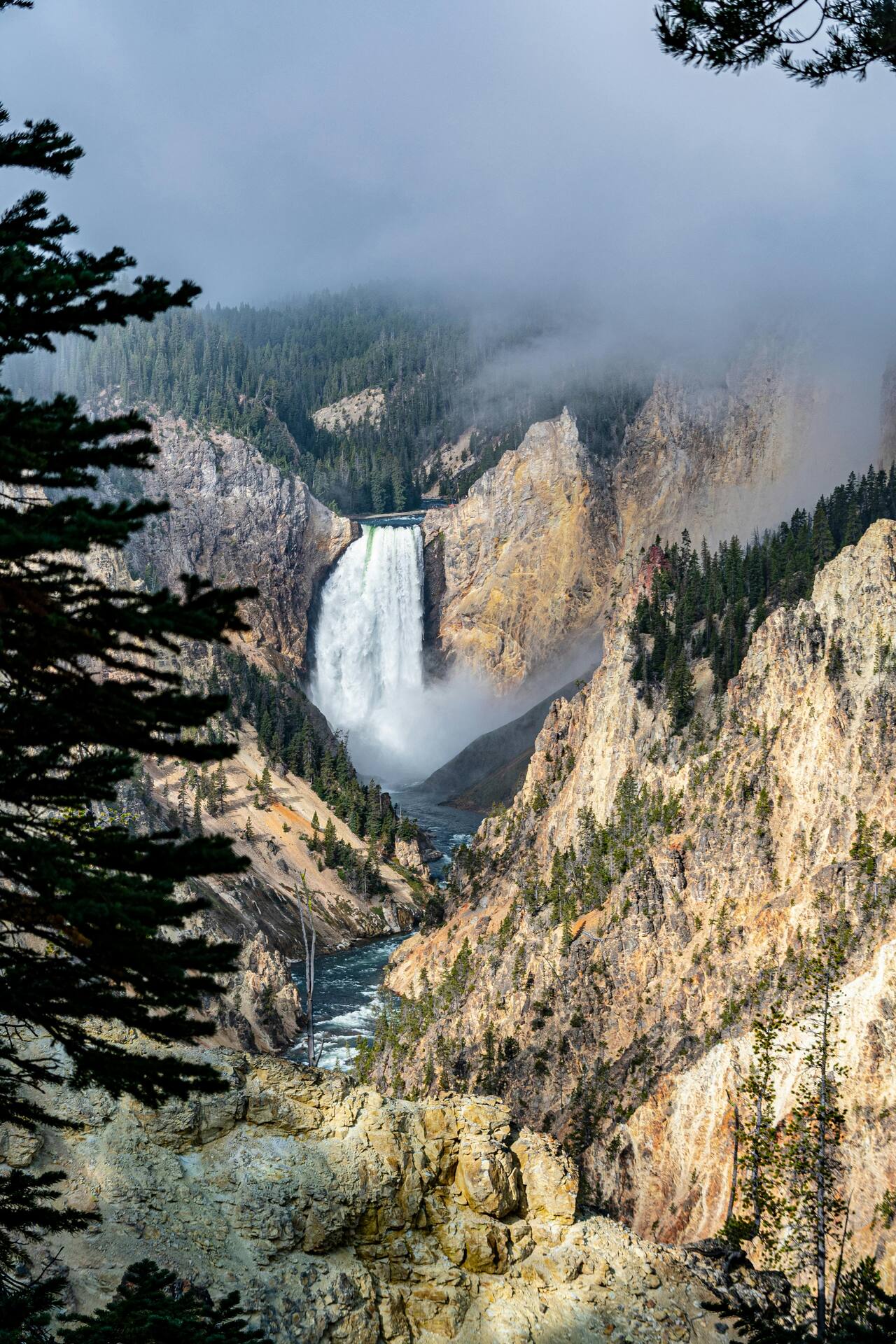 Yellowstone Falls cascading between canyon walls