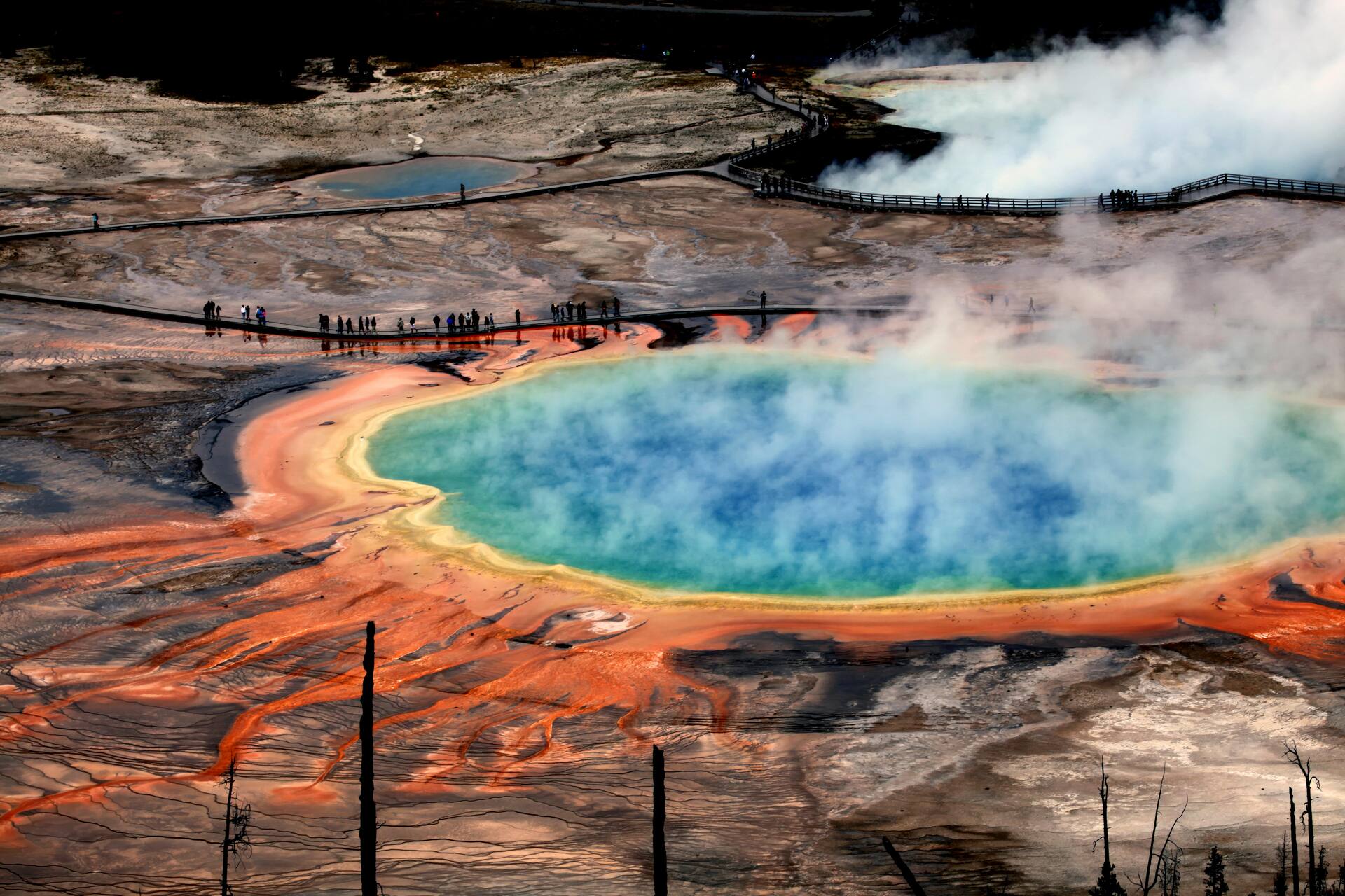 Hot springs in Yellowstone National Park