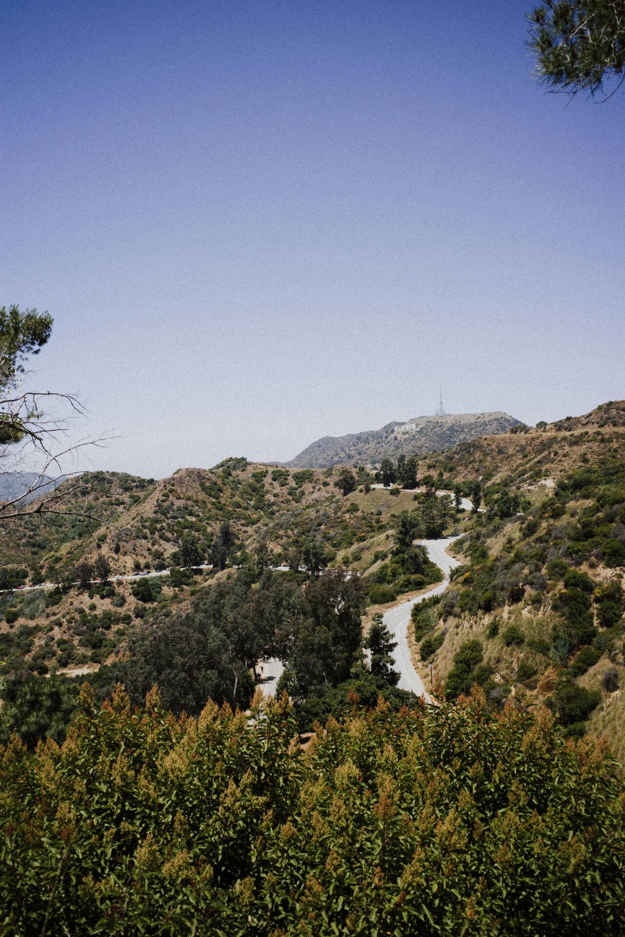 Winding road through the hills above Los Angeles
