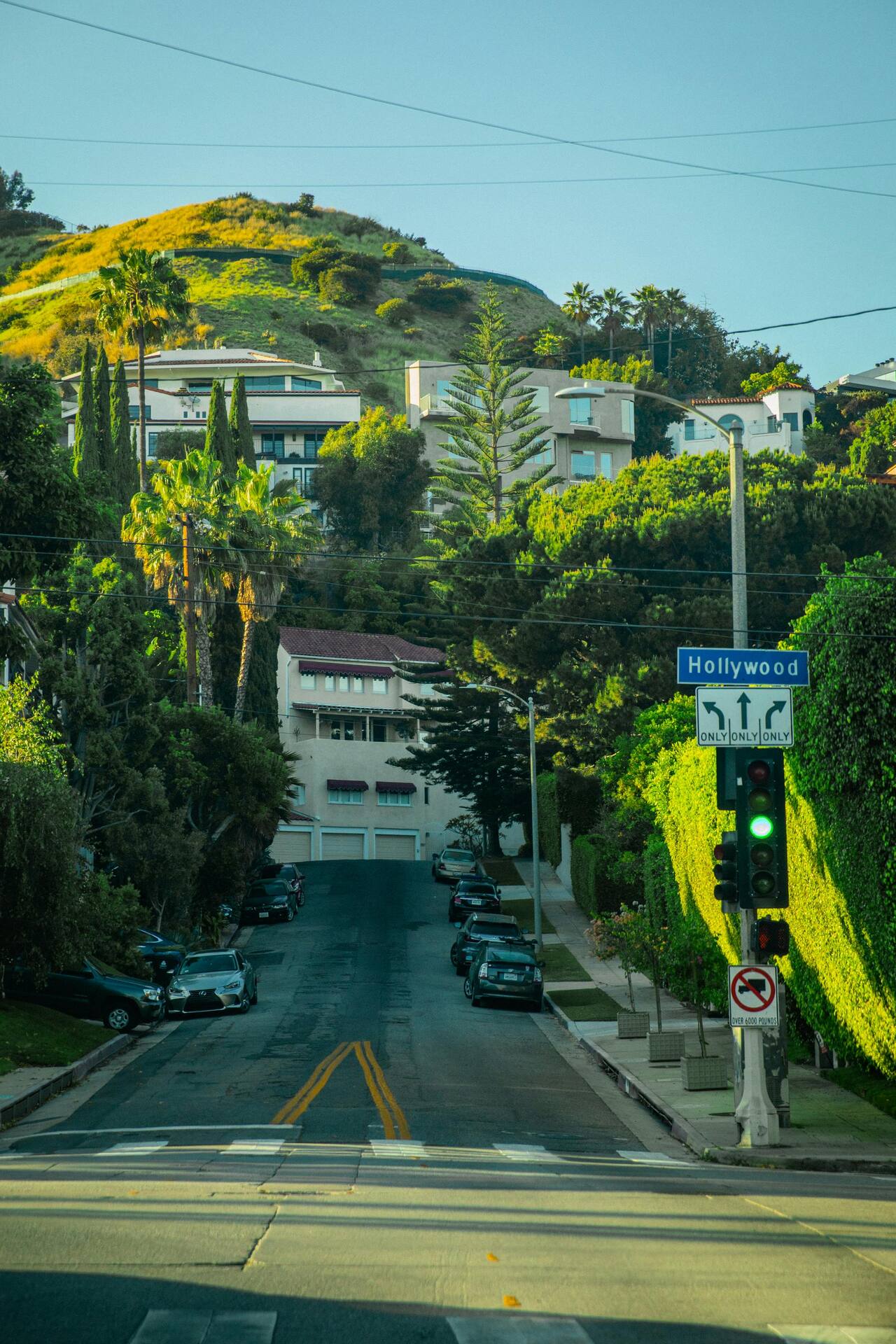 Houses on the hillside in the Hollywood Hills, Los Angeles