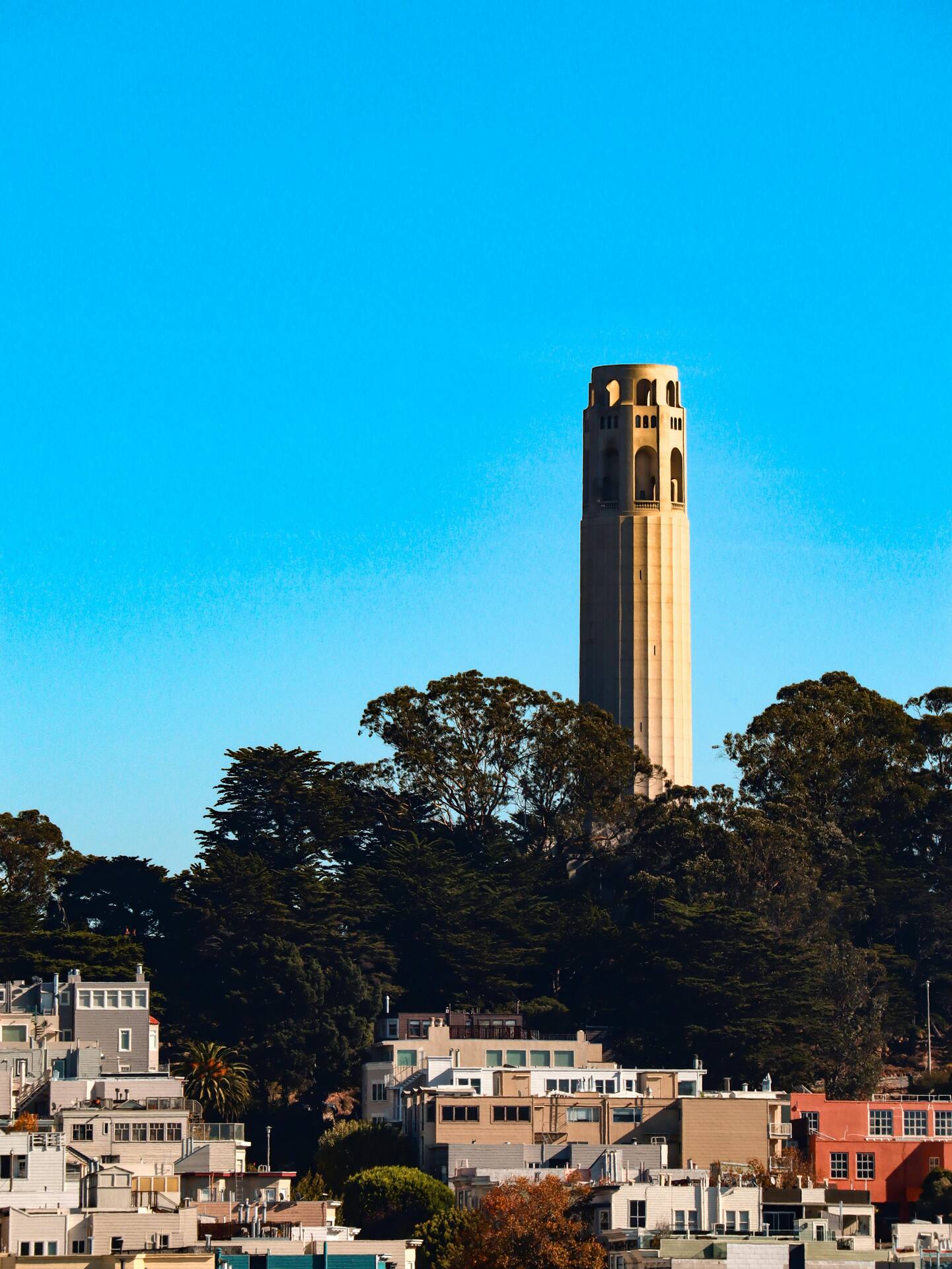 Coit Tower rising above the rooftops of San Francisco